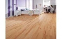 Ưu Và Nhược Điểm Của Sàn Gỗ Công Nghiệp. 