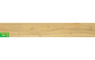 Thaixin 1031-8