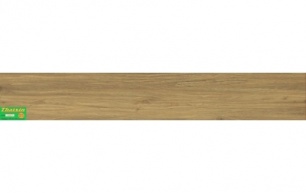Thaixin 1067-8