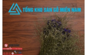 Sàn Gỗ Fortune - AQUA  807 