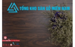 Sàn Gỗ Fortune - AQUA  808 
