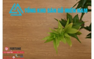 Sàn Gỗ Fortune - AQUA  909 