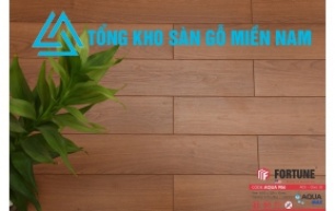 Sàn Gỗ Fortune - AQUA  909 