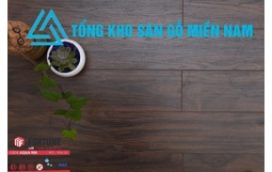 Sàn Gỗ Fortune - AQUA  908 