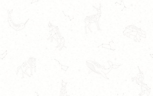 Giấy dán tường DREAM WORLD- A5120-1