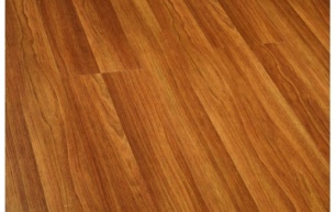 Robina CE21-8