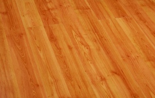 Robina M23-8