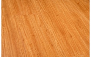 Robina O111 -8