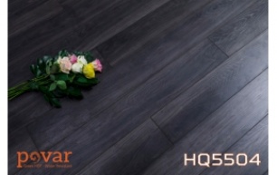 Sàn Gỗ POVAR HQ5504
