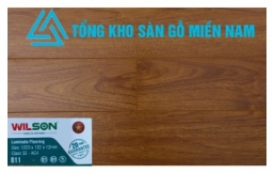 Sàn Gỗ WILSON - 881