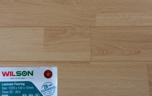 Sàn Gỗ WILSON - 820 
