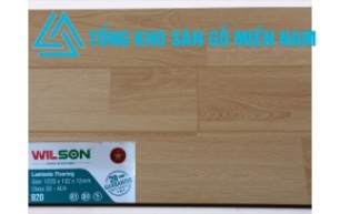 Sàn Gỗ WILSON - 820 